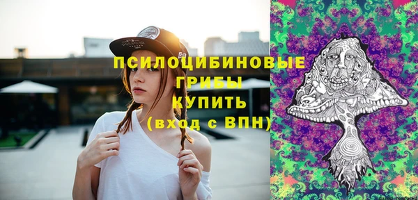 apvp Алзамай