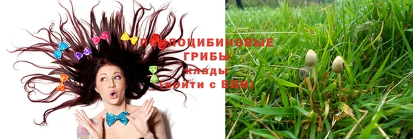 гашиш Сатка