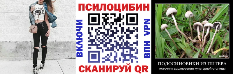 kraken   Зверево  Галлюциногенные грибы GOLDEN TEACHER 